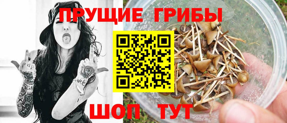 Галлюциногенные грибы Psilocybe  Вход с VPN  Узловая  Псилоцибиновые грибы GOLDEN TEACHER 